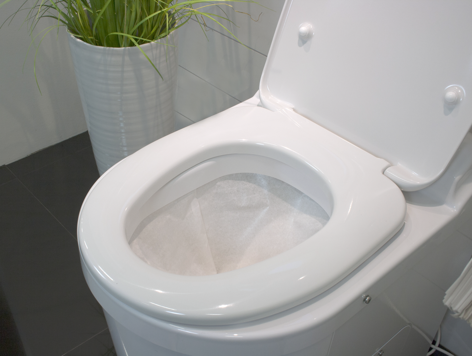 separett tiny waterless urine diverting toilet