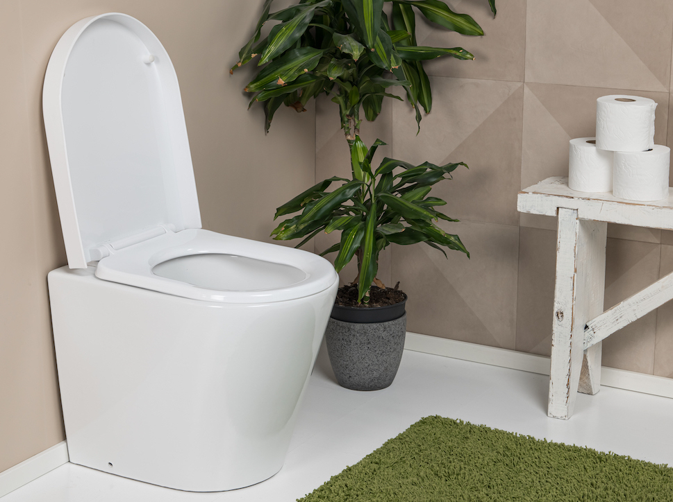 WooWoo GT LUX porcelain pedestal for WooWoo GT composting toilet