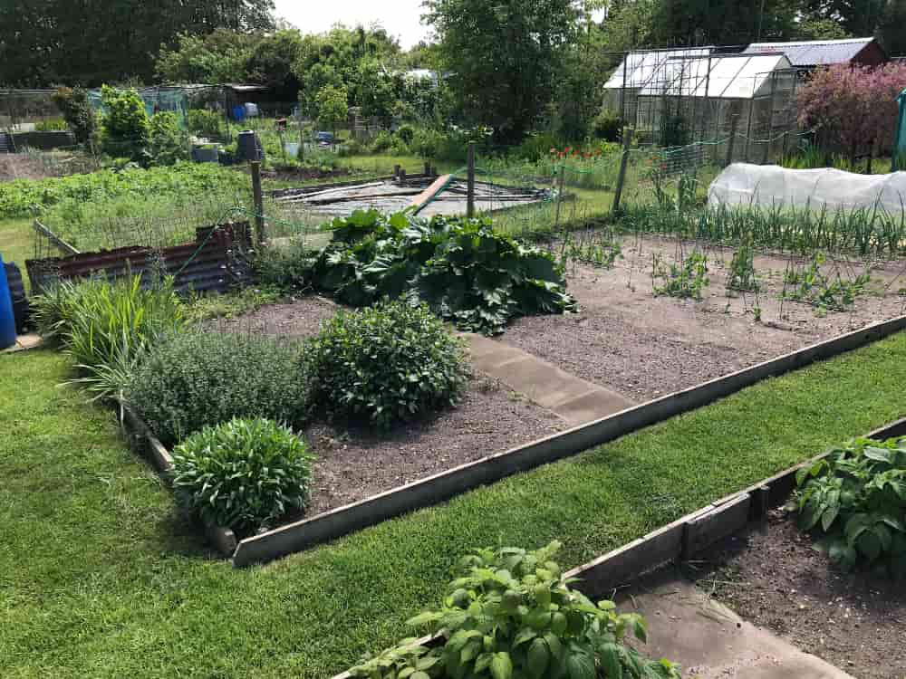 Beccles Allotments