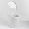 WooWoo GT Porcelain drop-through toilet pedestal - Image 5