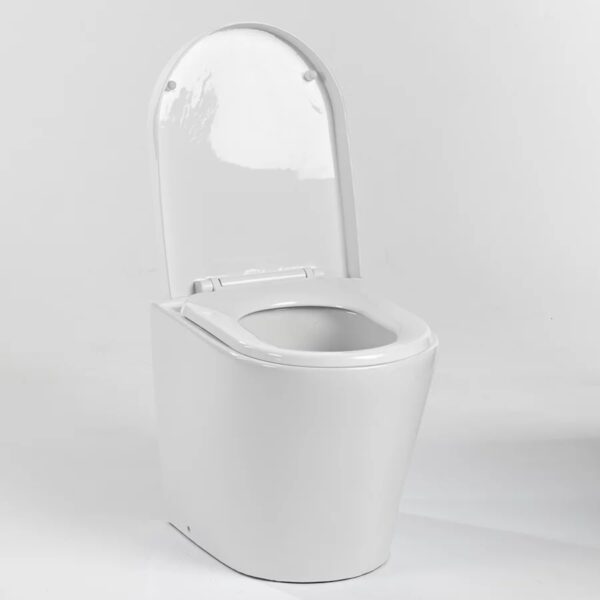 WooWoo GT Porcelain drop-through toilet pedestal - Image 5