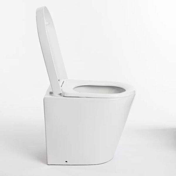 WooWoo GT Porcelain drop-through toilet pedestal - Image 6