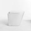 WooWoo GT Porcelain drop-through toilet pedestal - Image 7