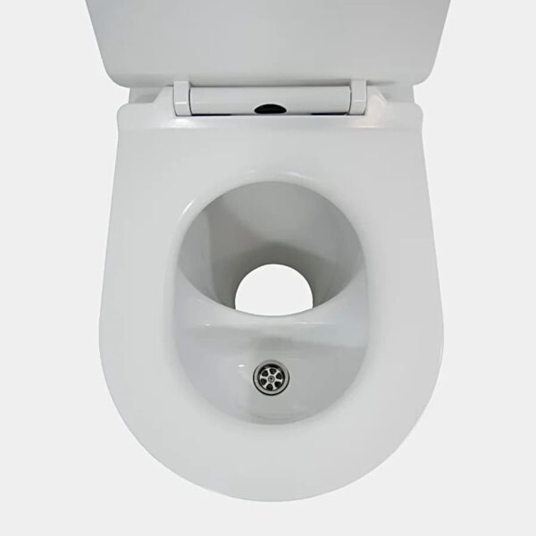 Hanko urine separating porcelain pedestal - Image 3