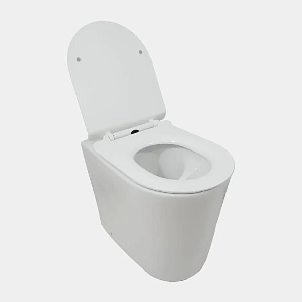 Hanko urine separating porcelain pedestal - Image 4
