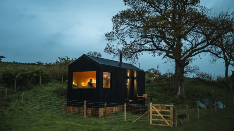 Shacks cabin - Sparrow in Abergele.